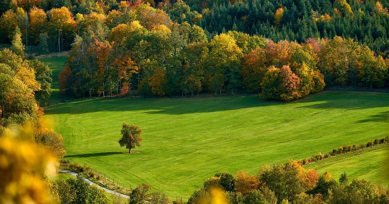 Le secret des habitués : les parcs hors saison