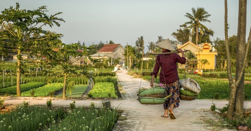 Itinéraire de deux semaines pour un voyage solo en Asie : le guide complet