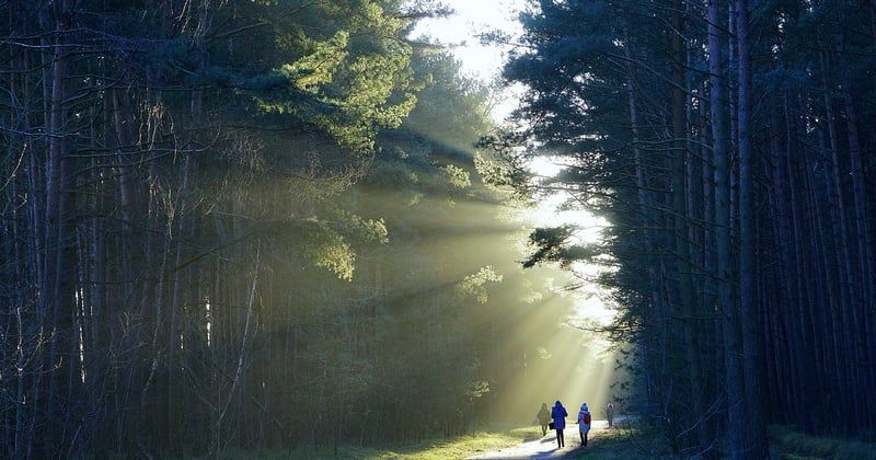 Randonnées inoubliables dans des paysages naturels à couper le souffle