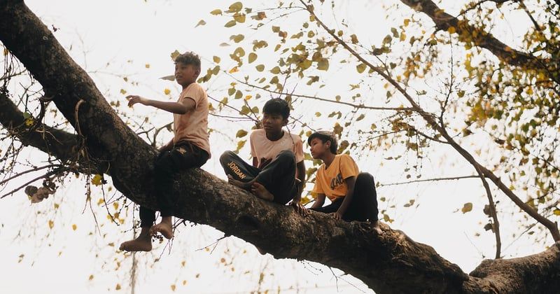 Dormir dans une cabane dans les arbres : l’expérience unique qui change tout